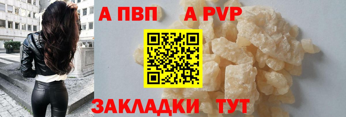 Alfa_PVP СК Дубна