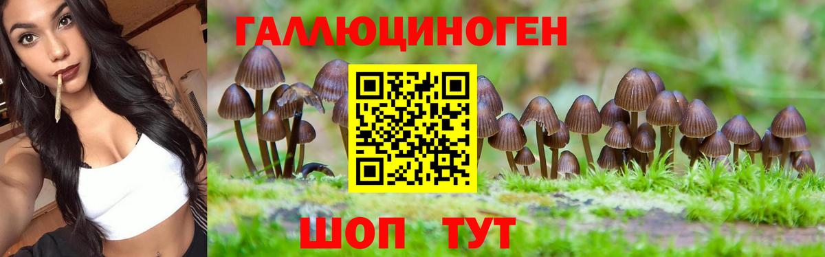 Галлюциногенные грибы Magic Shrooms Дубна